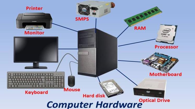 5 examples of hardware and software